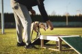 Sensory footbridge (puppy socialization)