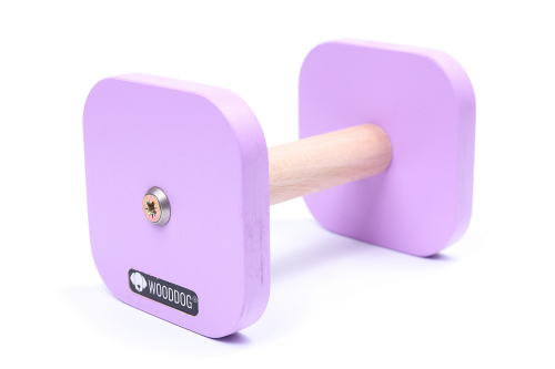 Dumbbell STANDARD - color PURPLE